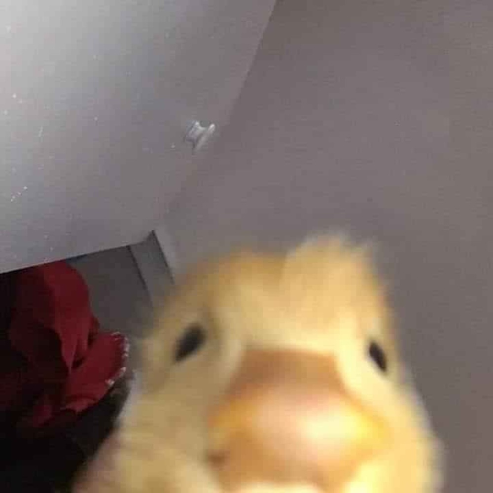 :D